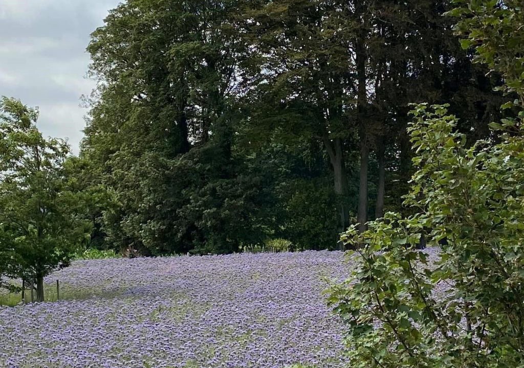 Photo of Others in Bretteville-du-Grand Caux