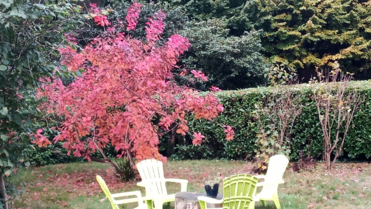 Photo of Outdoor in Hede
