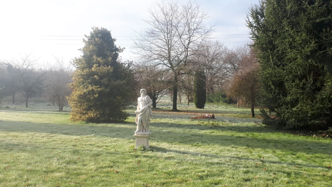 Photo of Others in Sens-de-Bretagne