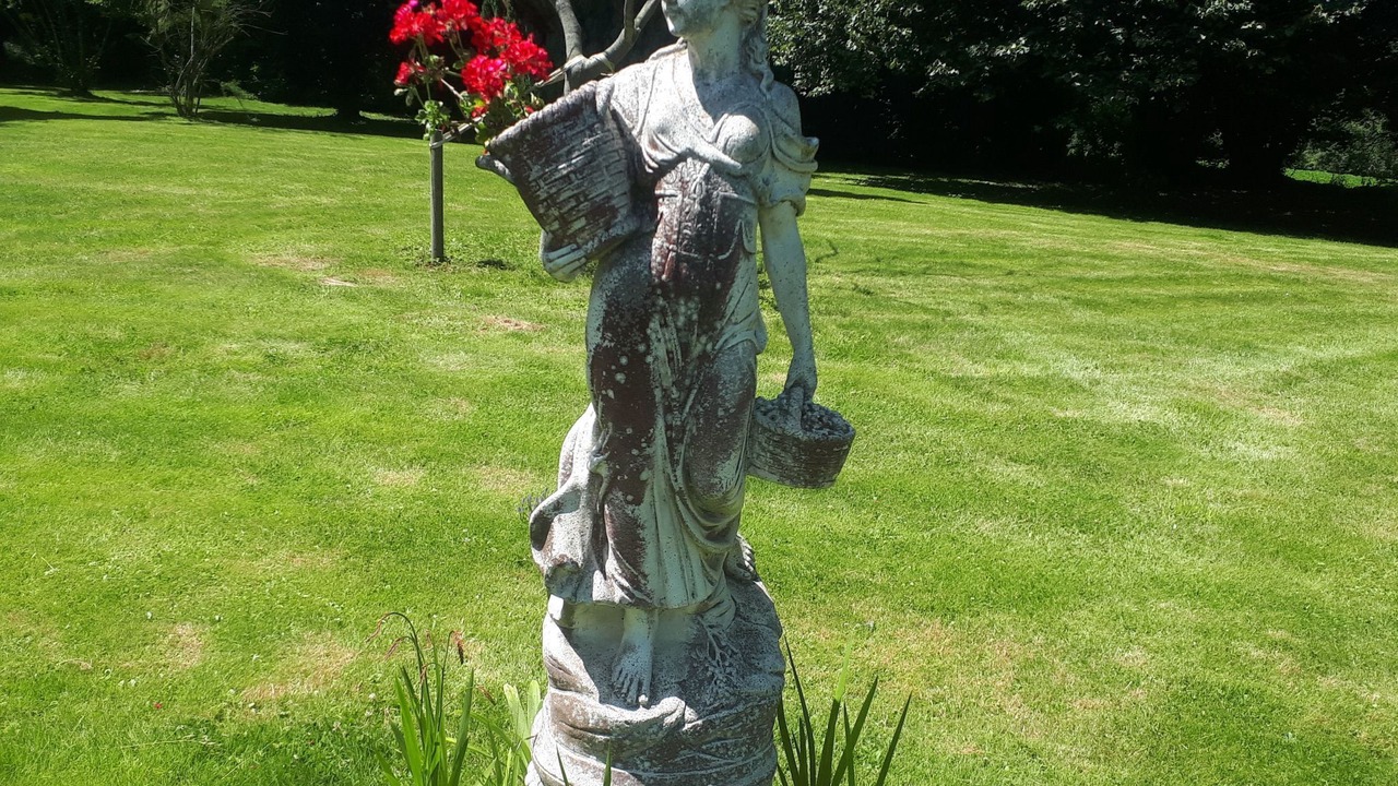 Photo of Others in Sens-de-Bretagne