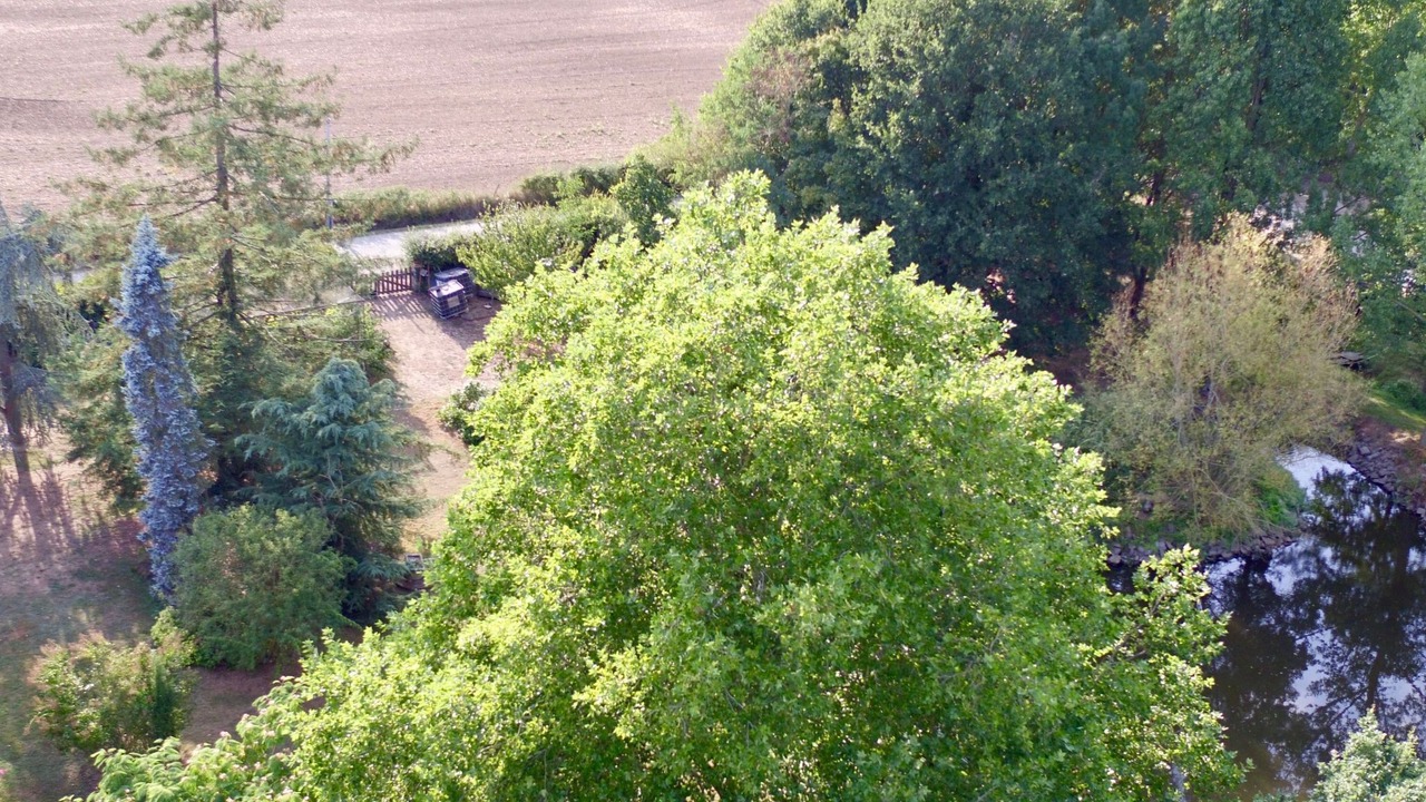 Photo of Outdoor in Ligne