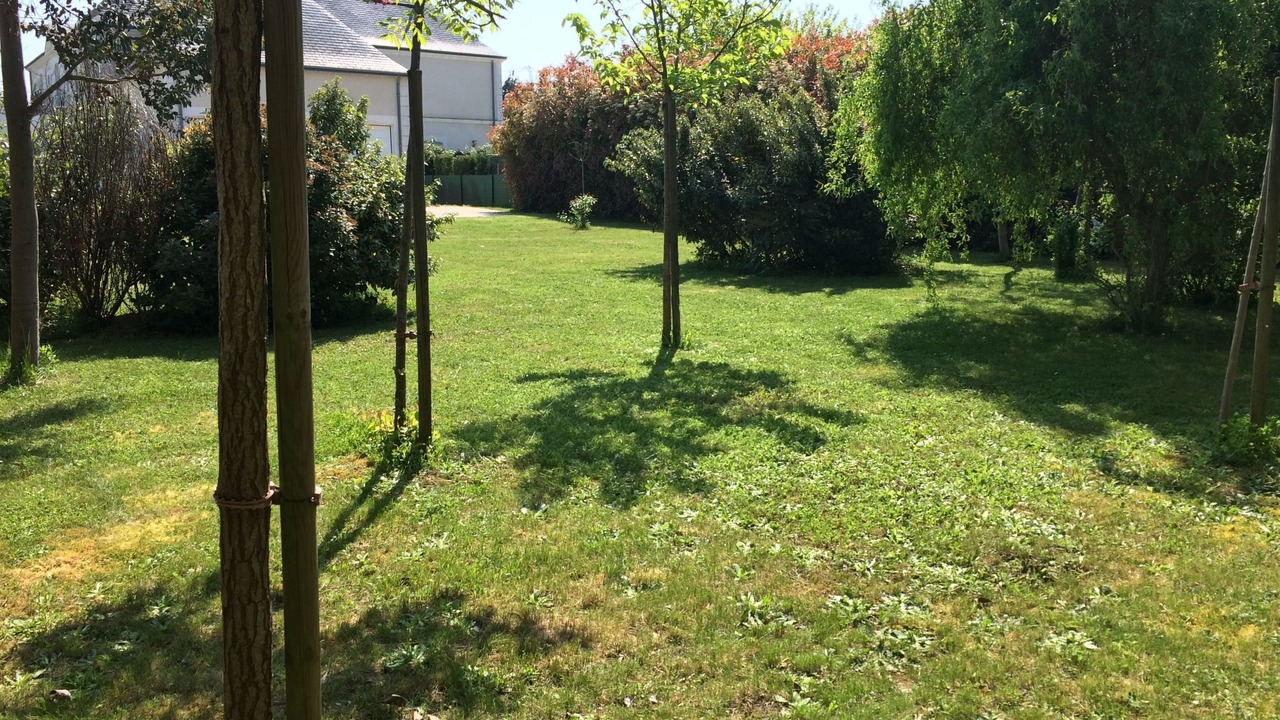 Photo of Others in Saint-Cyr-sur-Loire