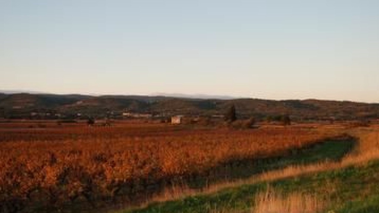 Photo of Others in Cesseras