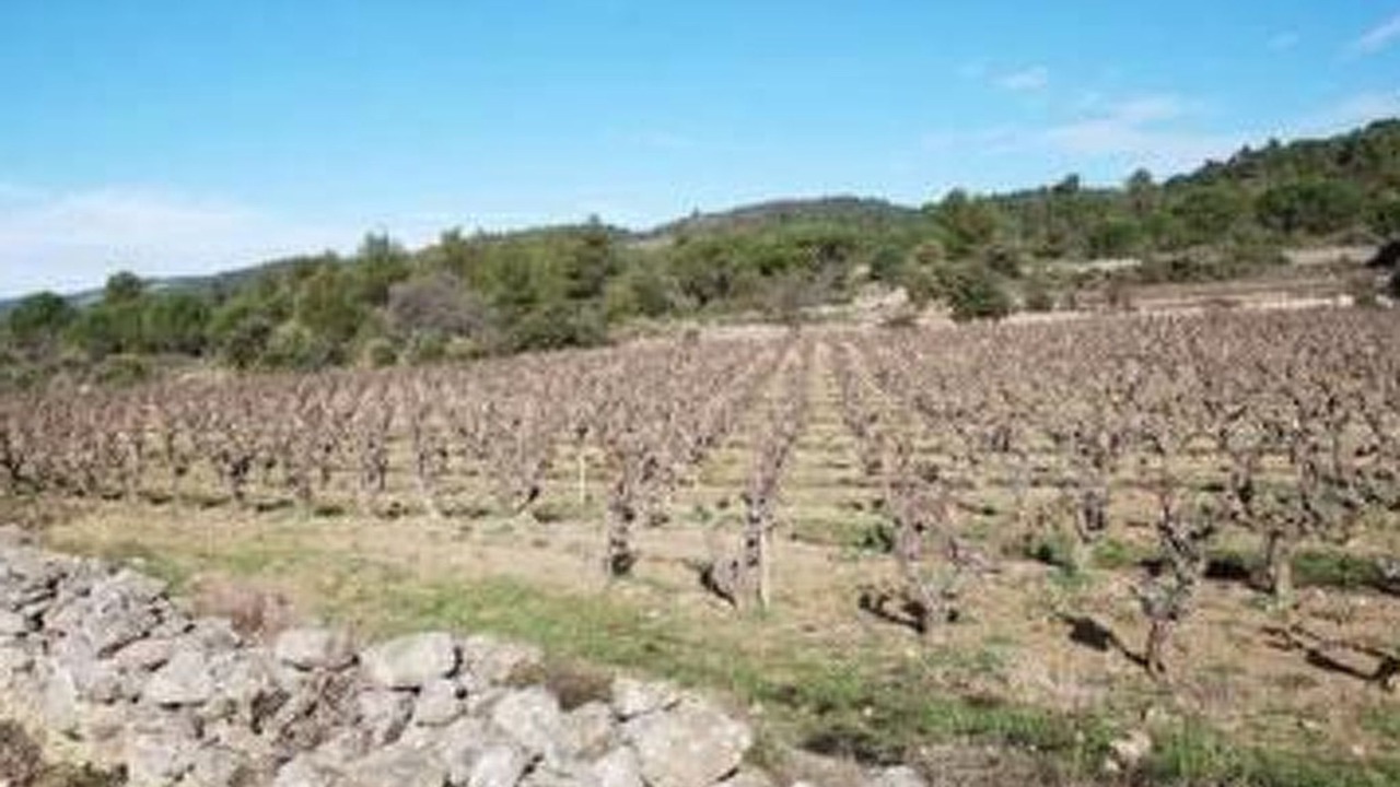 Photo of Others in Cesseras