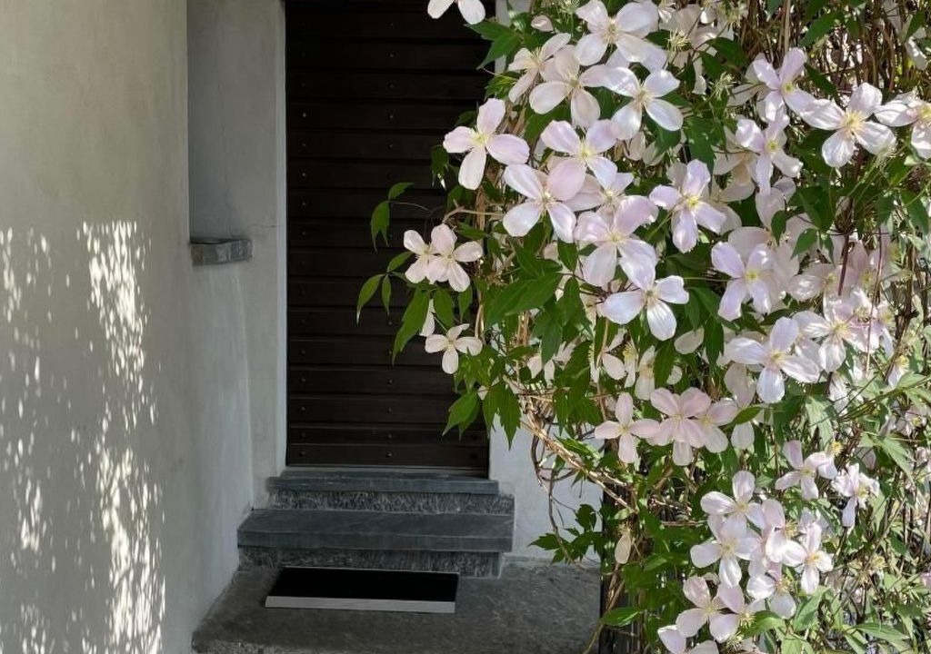Photo of Outdoor in Gambarogno
