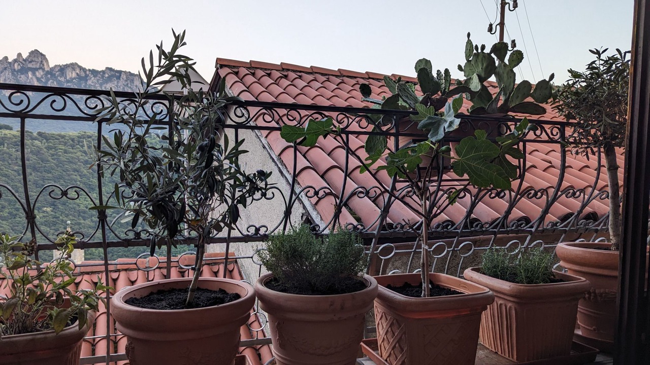Photo of Outdoor in Bidogno