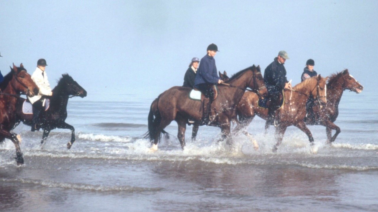 Photo of Others in Crasville