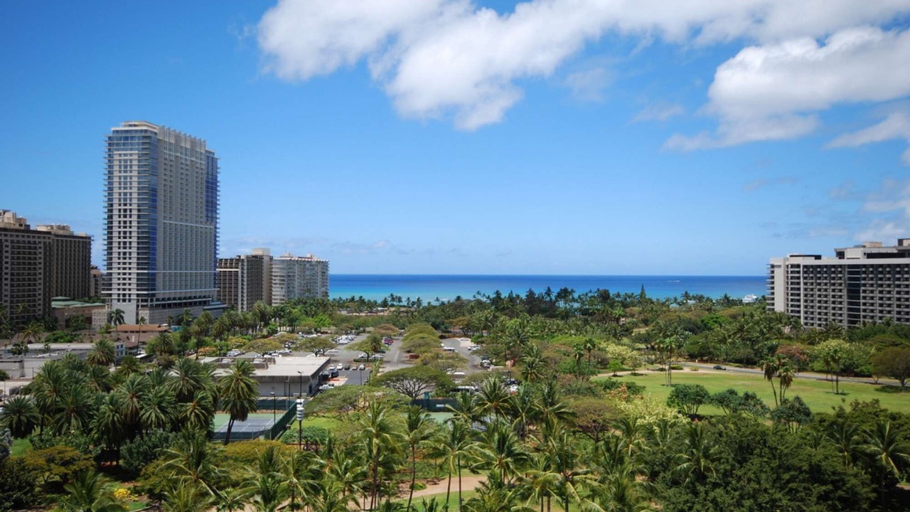 Photo of Others in Waikiki