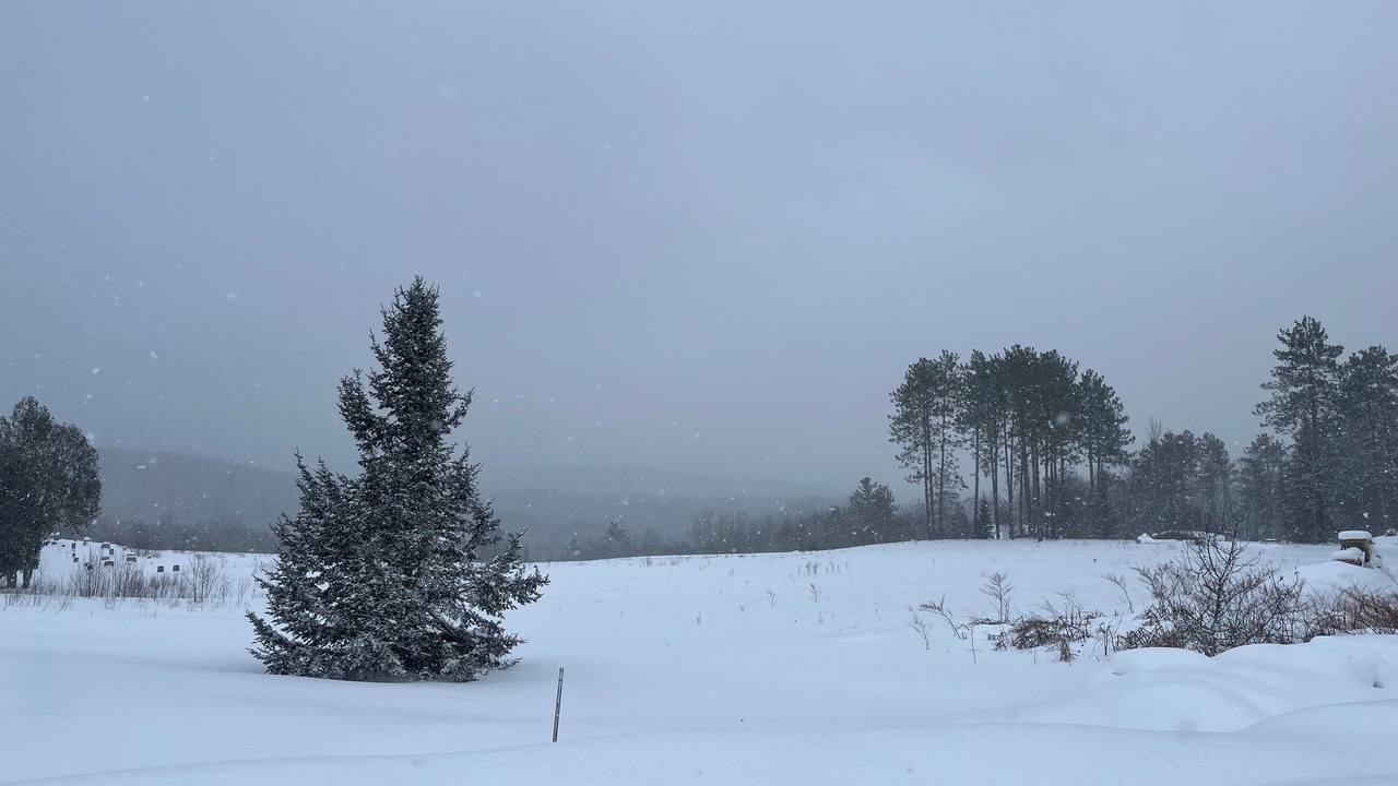 Photo of Others in Eden Mills