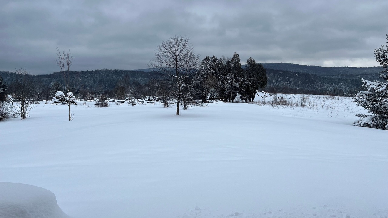 Photo of Others in Eden Mills