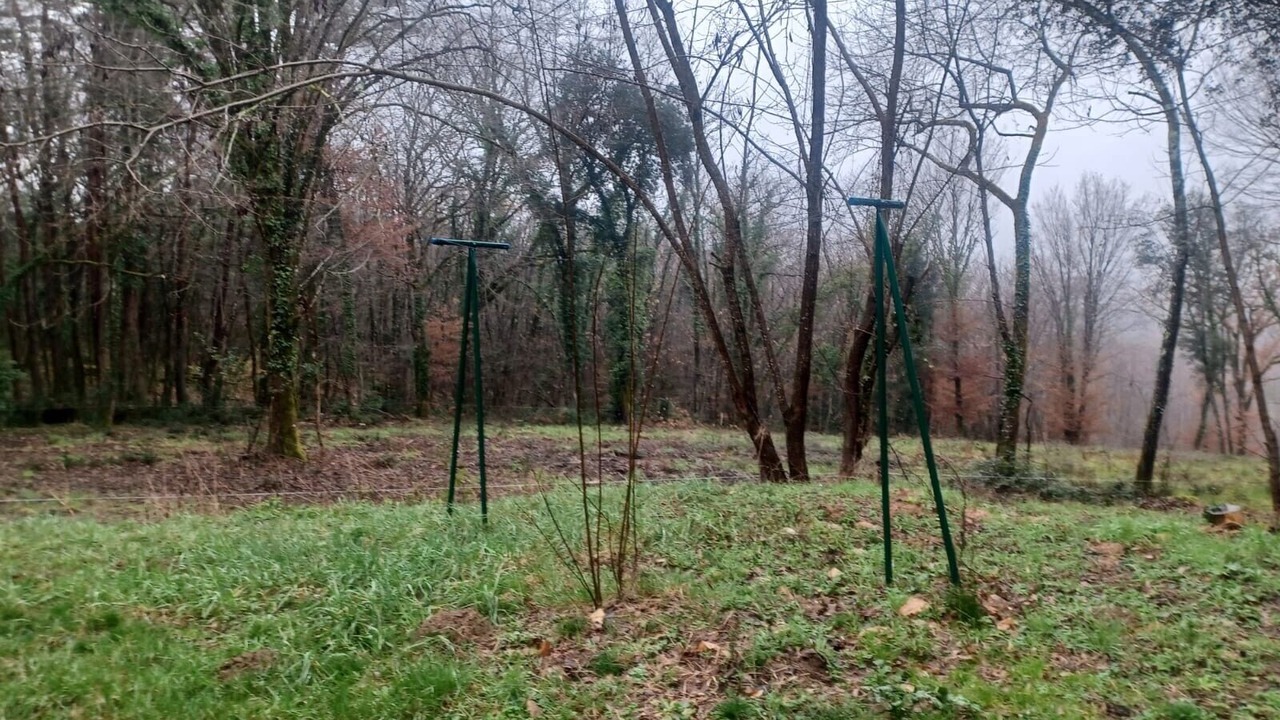 Photo of Others in Calviac-en-Perigord