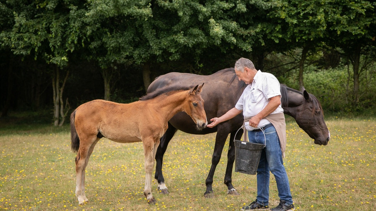 Photo of Others in Saint-Mars-du-Desert