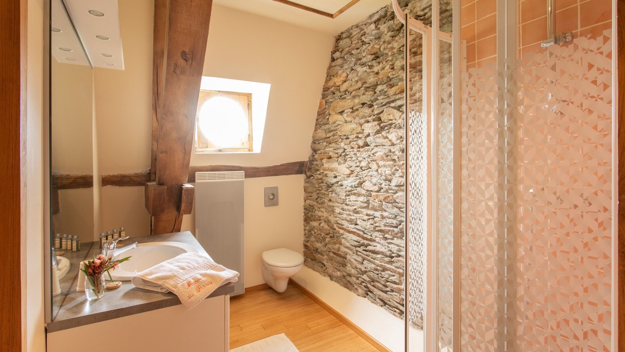Photo of Bathroom in Saint-Mars-du-Desert