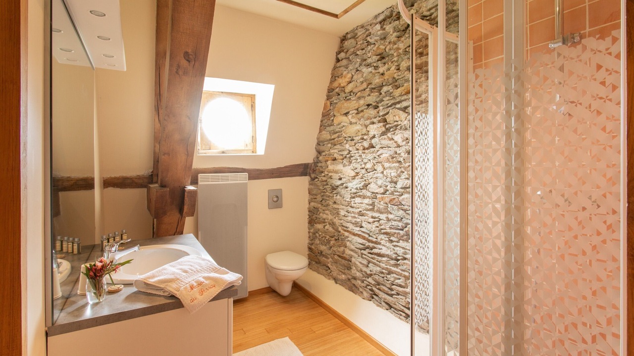 Photo of Bathroom in Saint-Mars-du-Desert