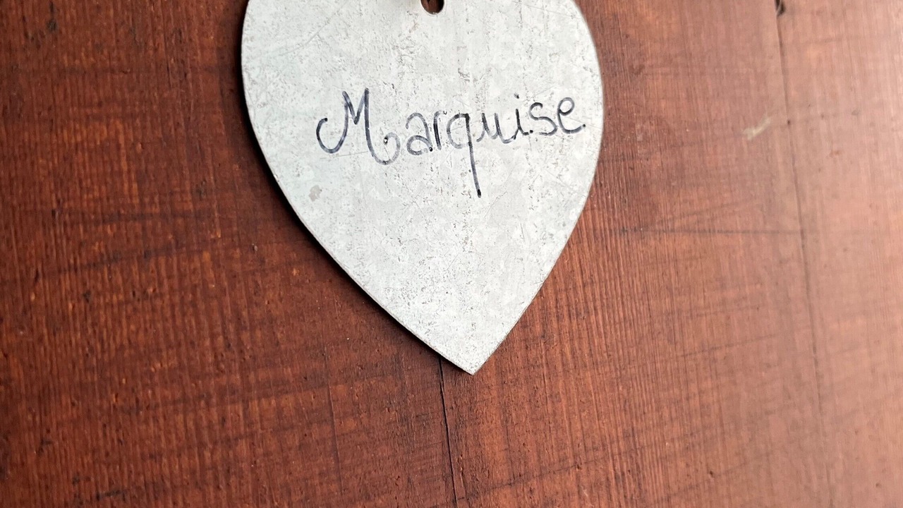 Photo of Others in Saint-Mars-du-Desert