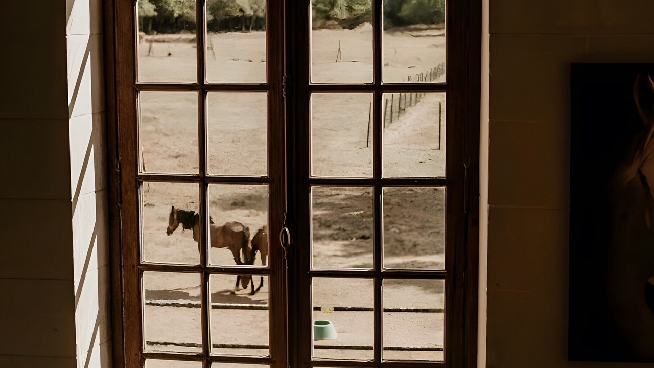 Photo of Others in Saint-Mars-du-Desert