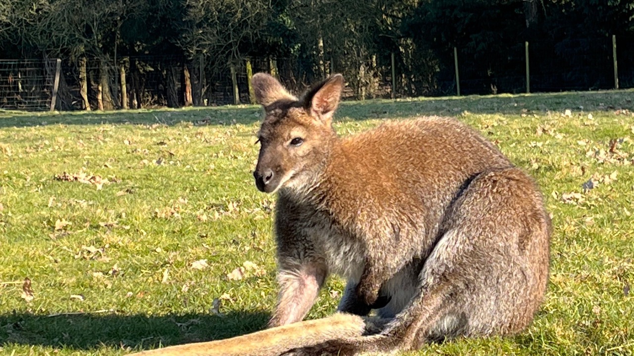 Photo of Others in Saint-Mars-du-Desert