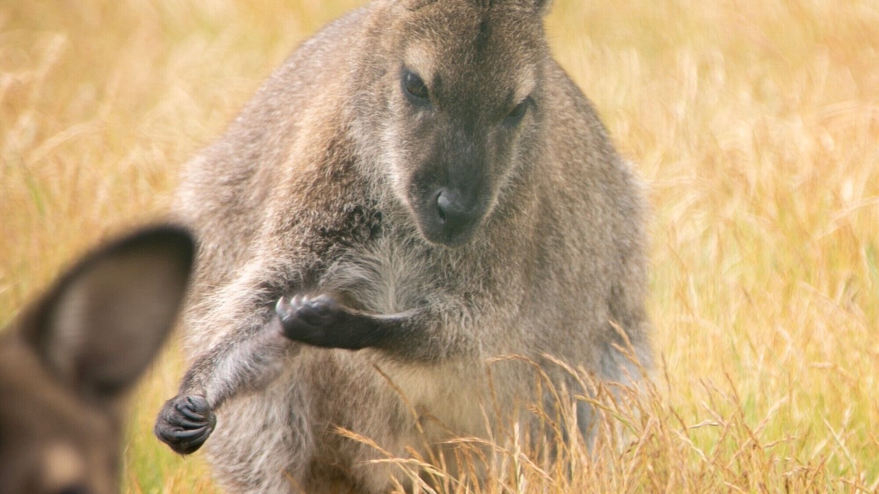 Photo of Others in Saint-Mars-du-Desert