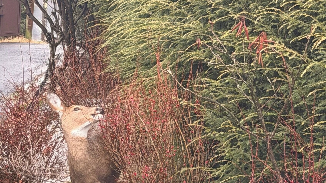 Photo of Others in Charter Hills