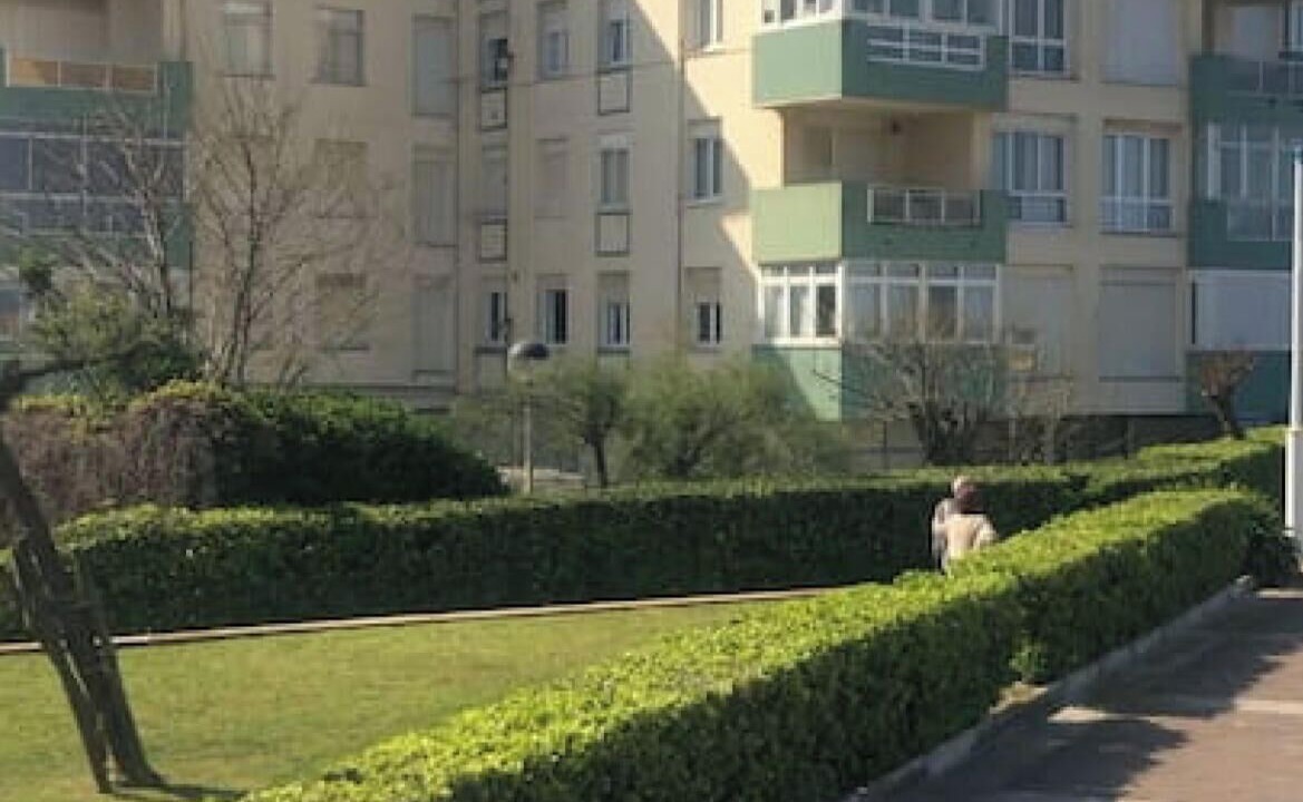 Photo of Outdoor in Somo