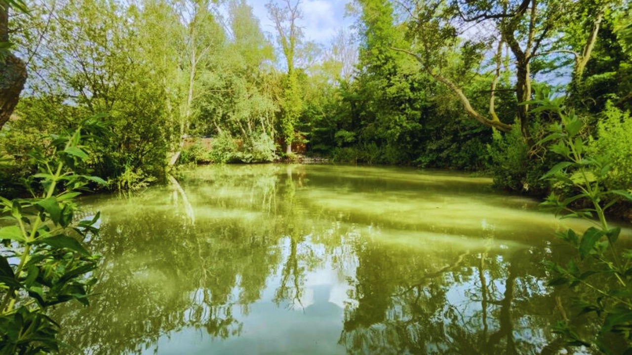 Photo of Others in Newmarket