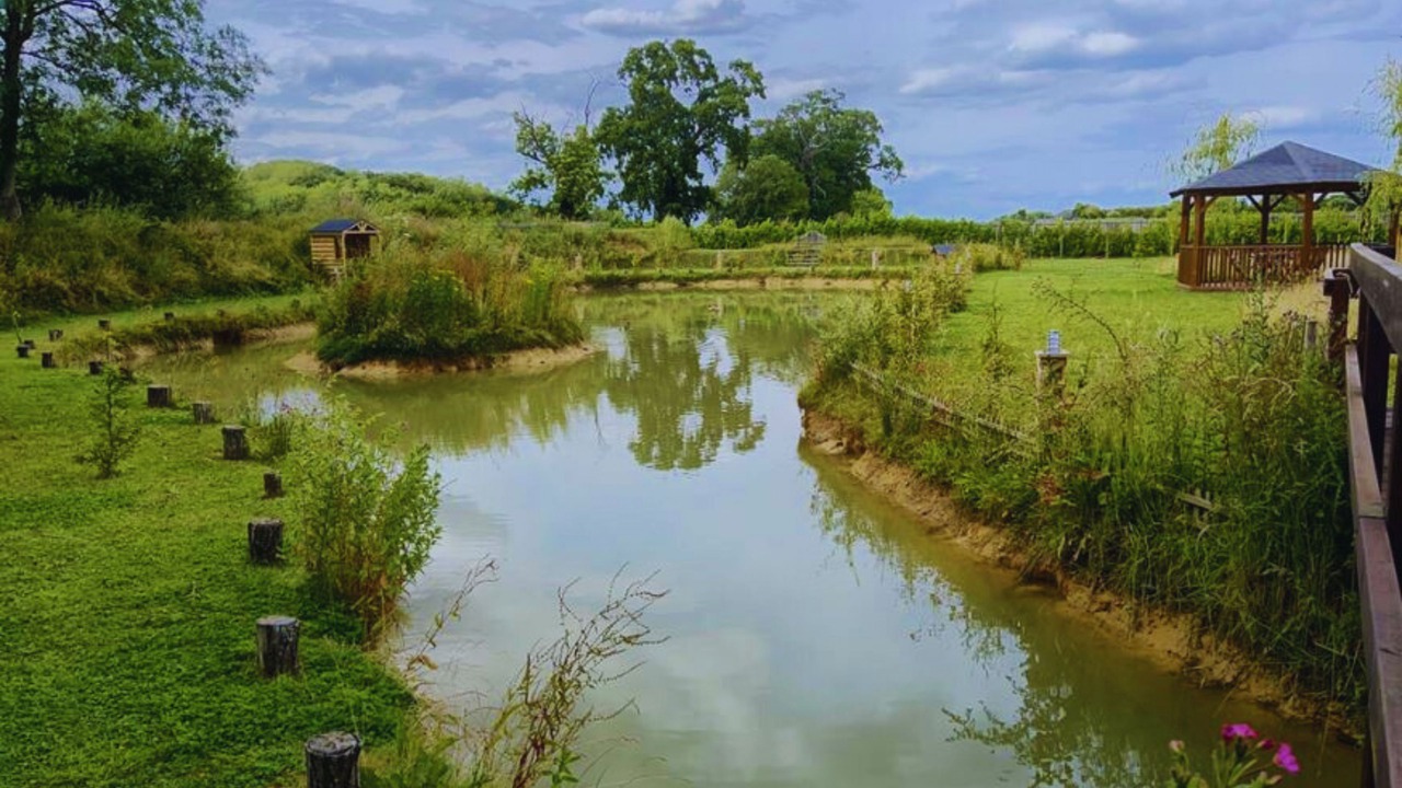 Photo of Others in Newmarket