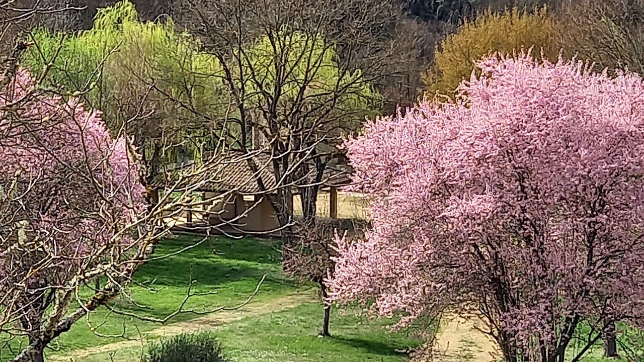 Photo of Outdoor in Auzon