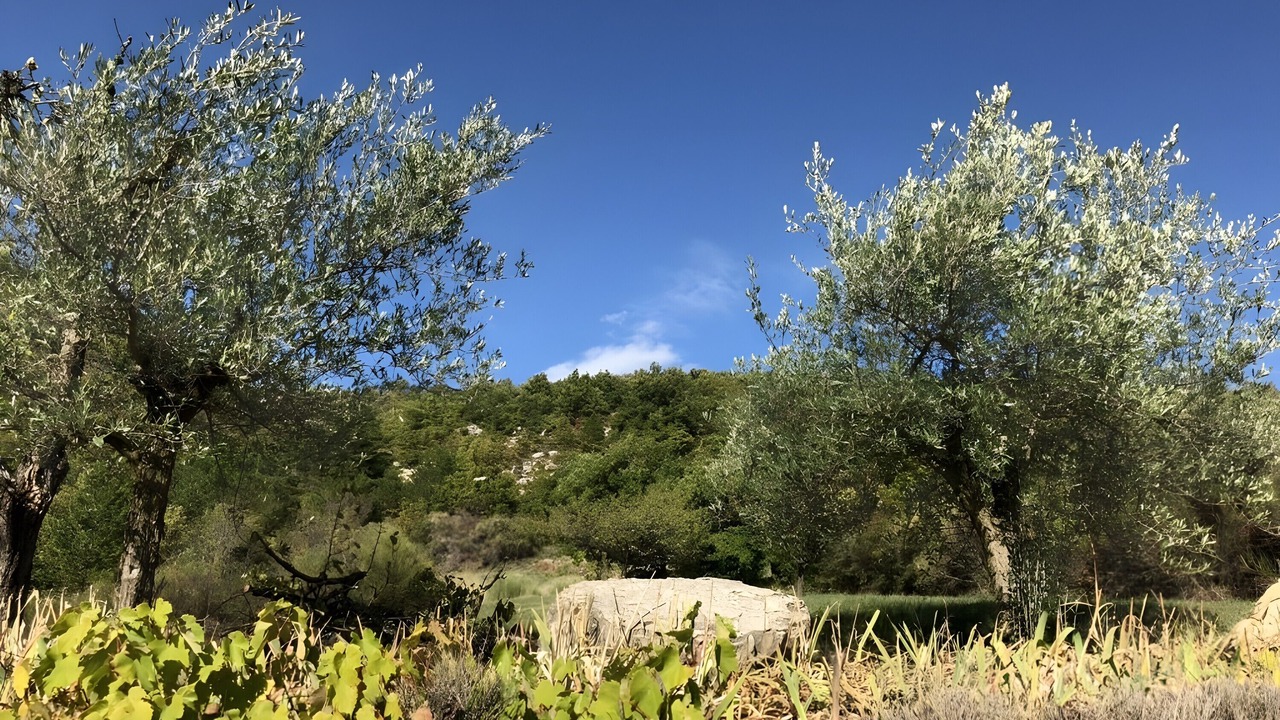 Photo of Others in Sainte-Euphemie-sur-Ouveze