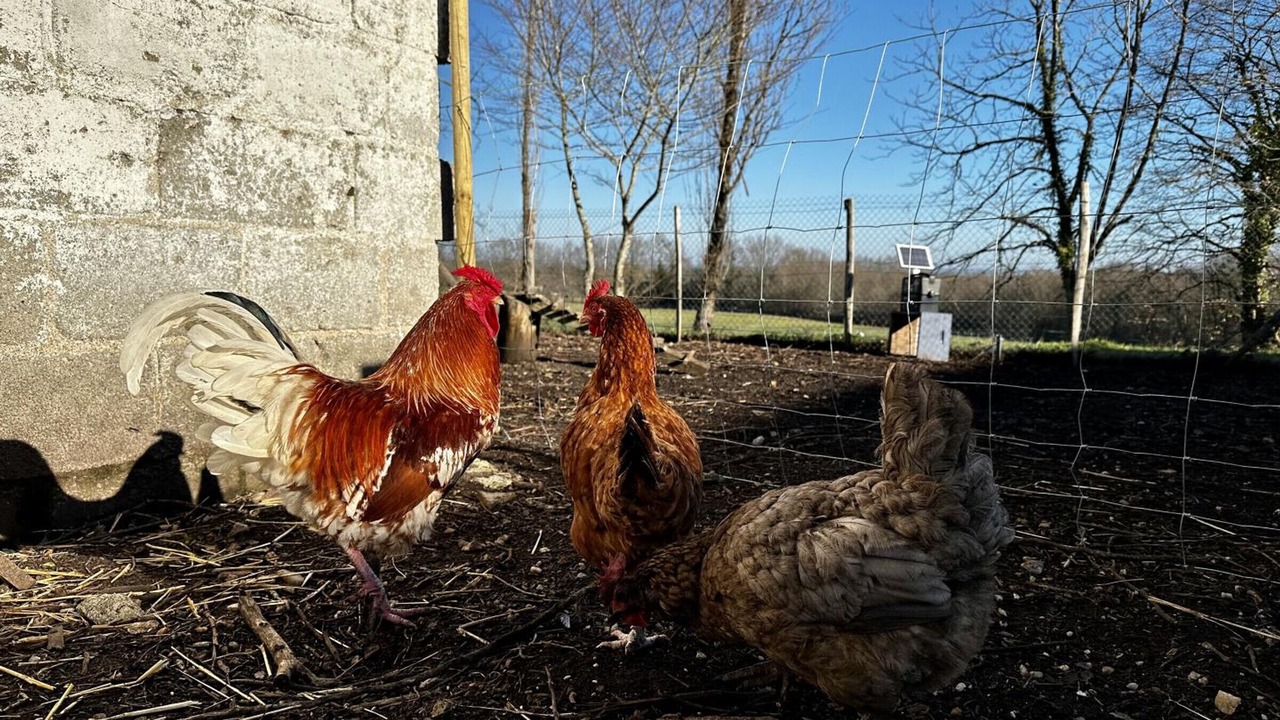 Photo of Others in Montpon-Menesterol