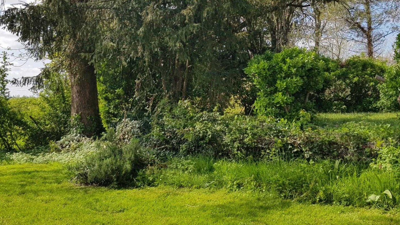 Photo of Outdoor in Montpon-Menesterol