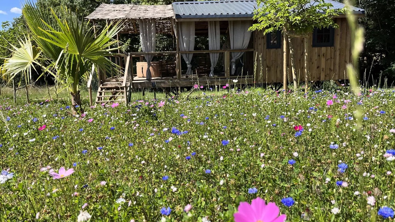 Photo of Outdoor in Chisseaux