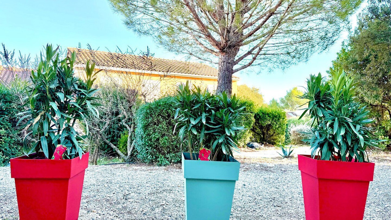 Photo of Outdoor in Calvisson