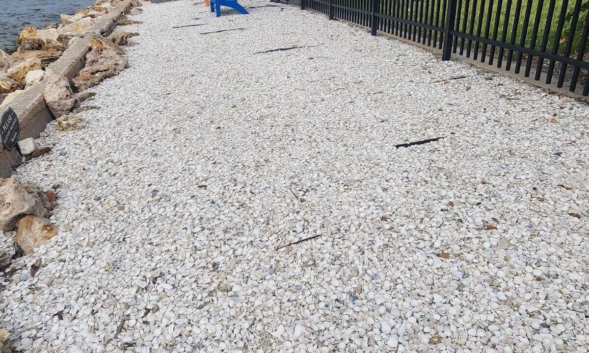 Photo of Outdoor in Ruskin