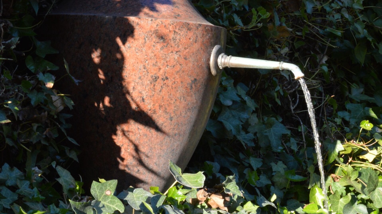 Photo of Others in Bois-Sainte-Marie