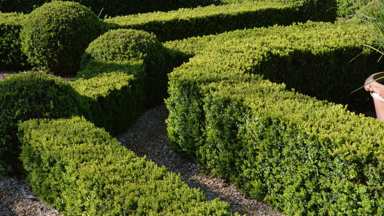 Photo of Outdoor in Bois-Sainte-Marie