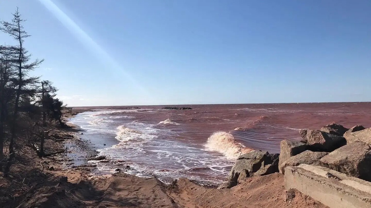 Photo of Others in West Point