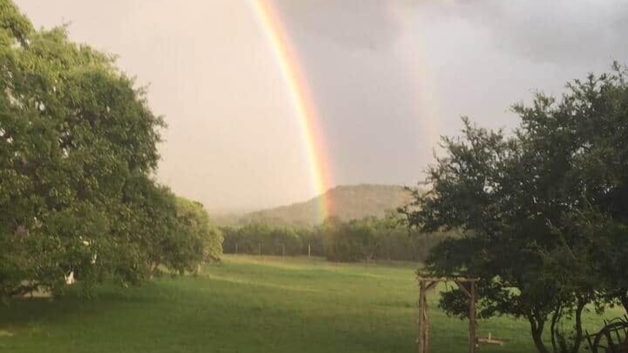 Photo of Others in Austin