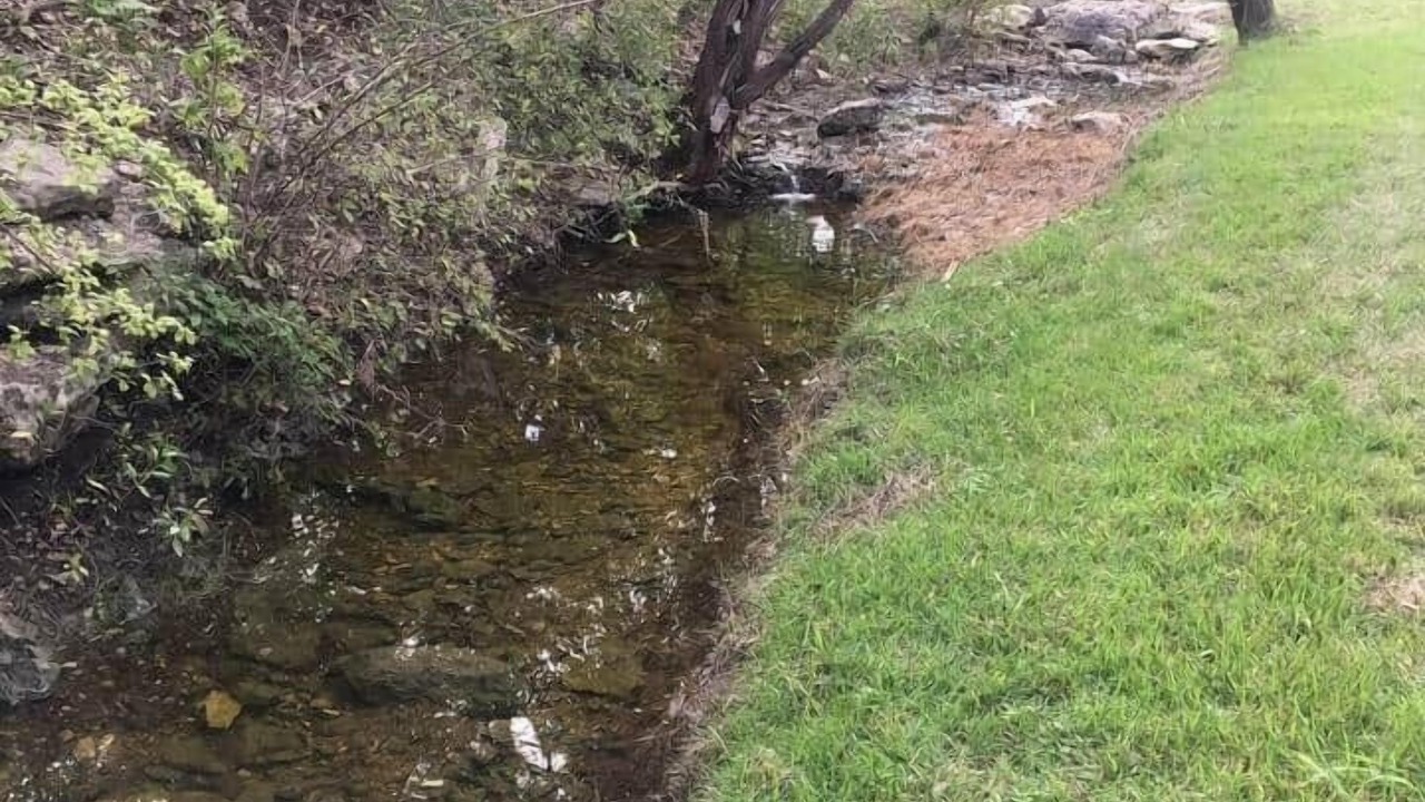 Photo of Others in Austin