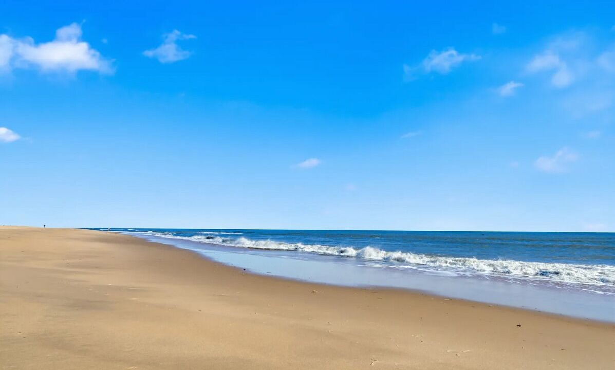 Photo of Others in Northeast Virginia Beach