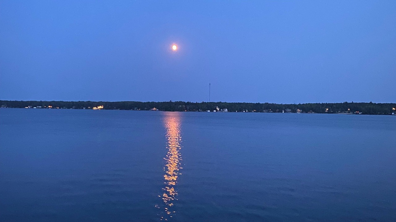 Photo of Others in Falcon Lake