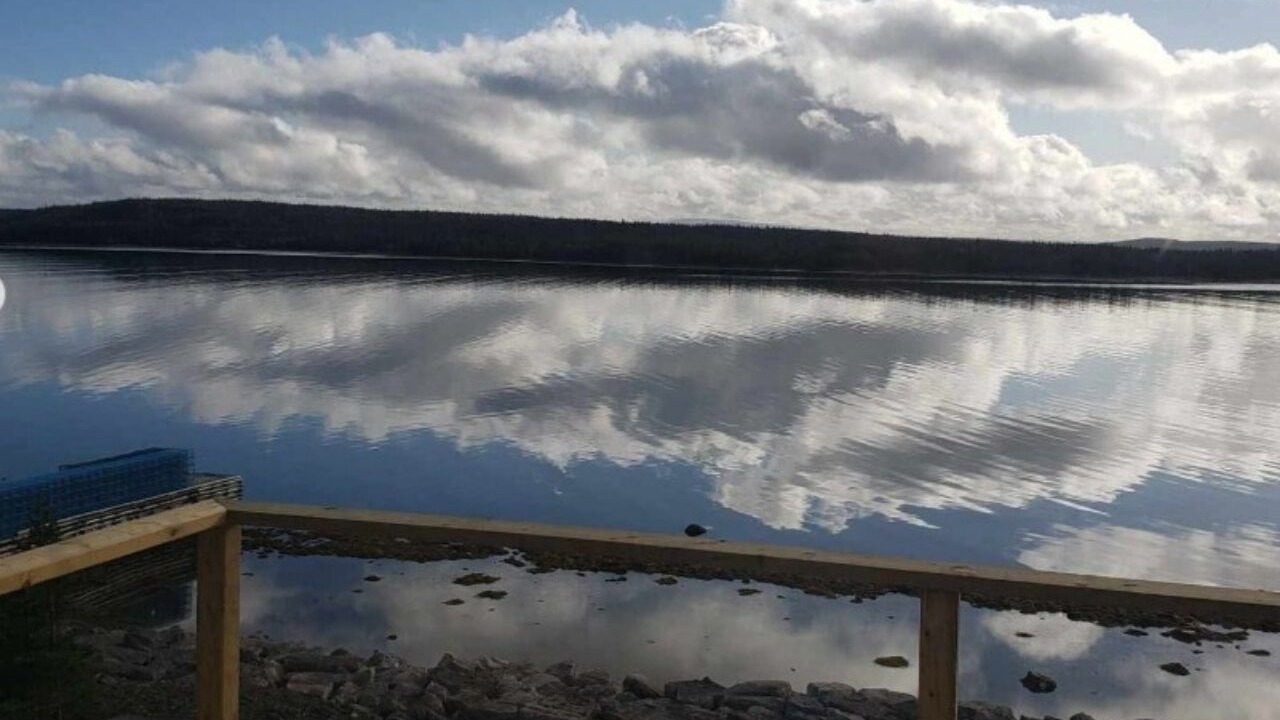 Photo of Others in Port Saunders