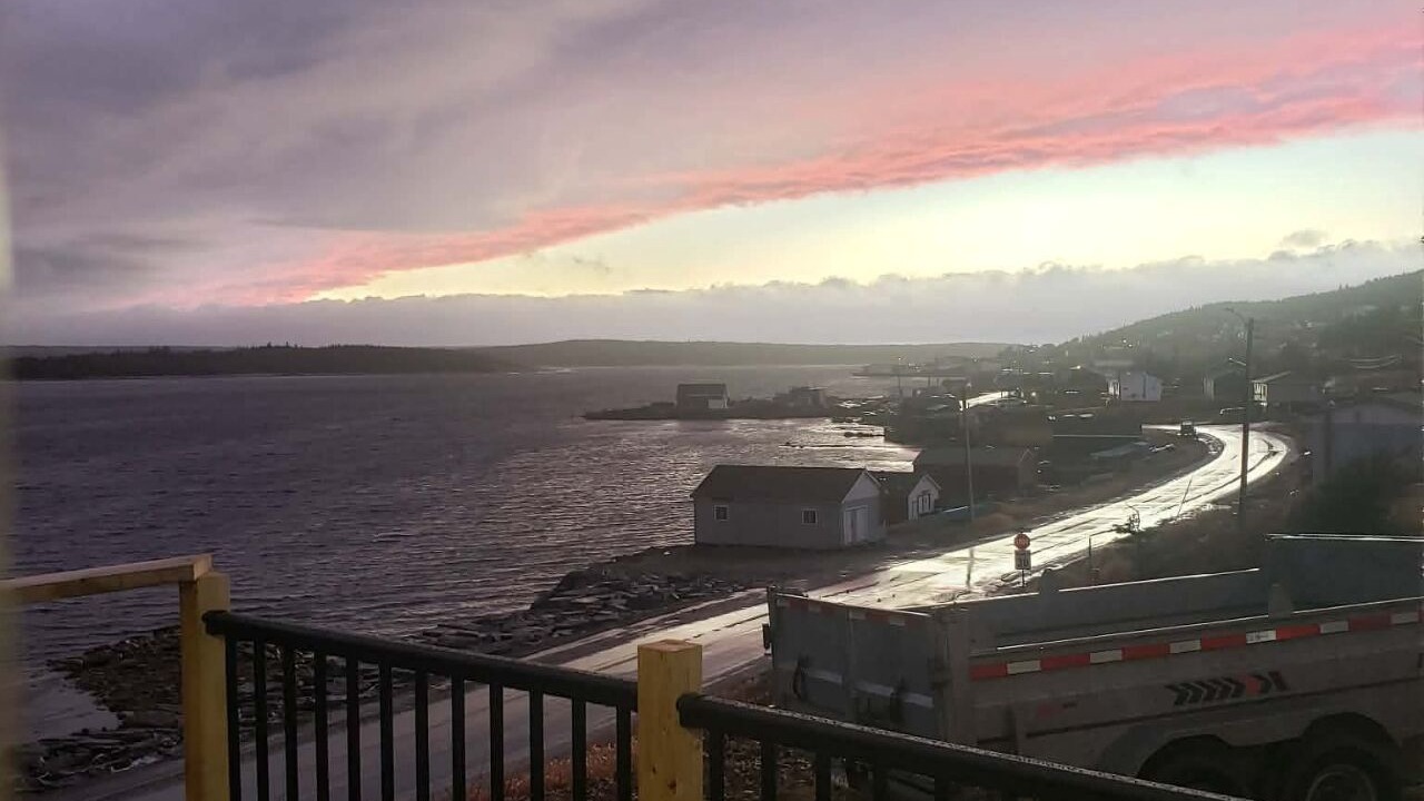Photo of Others in Port Saunders