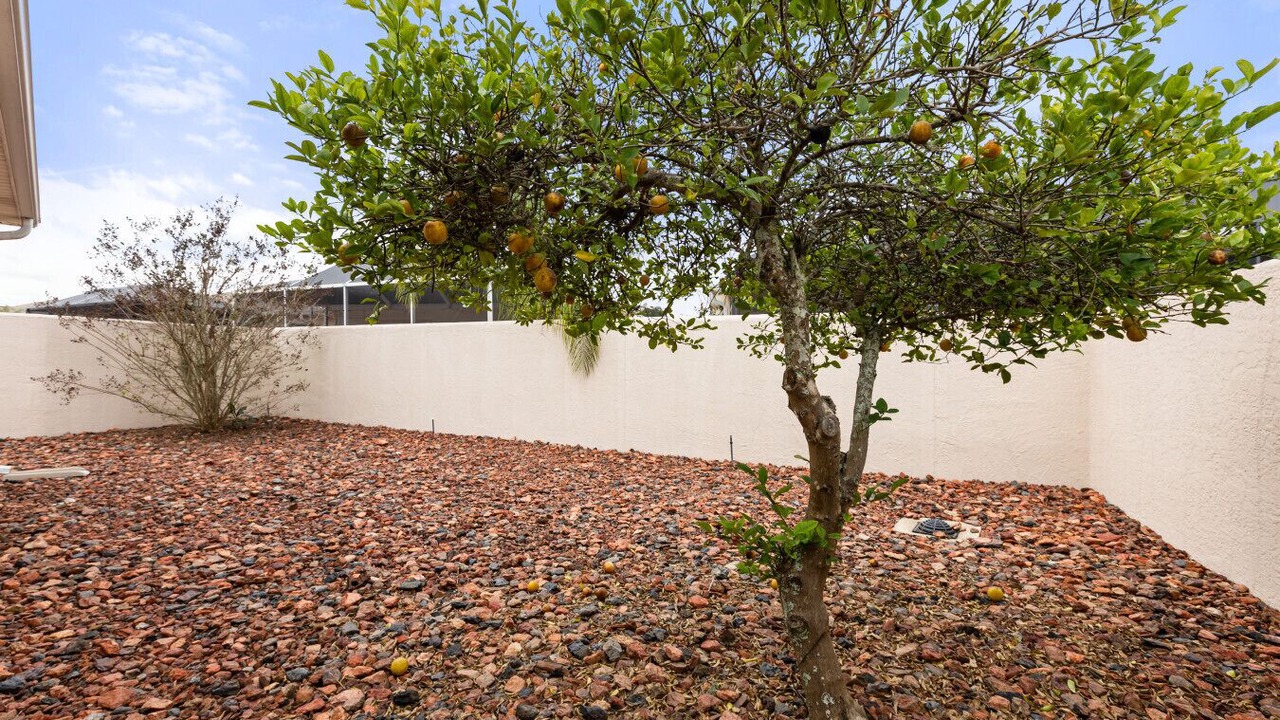 Photo of Outdoor in Santo Domingo