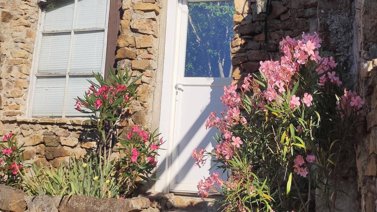 Photo of Others in Saint-Sebastien-d'Aigrefeuille