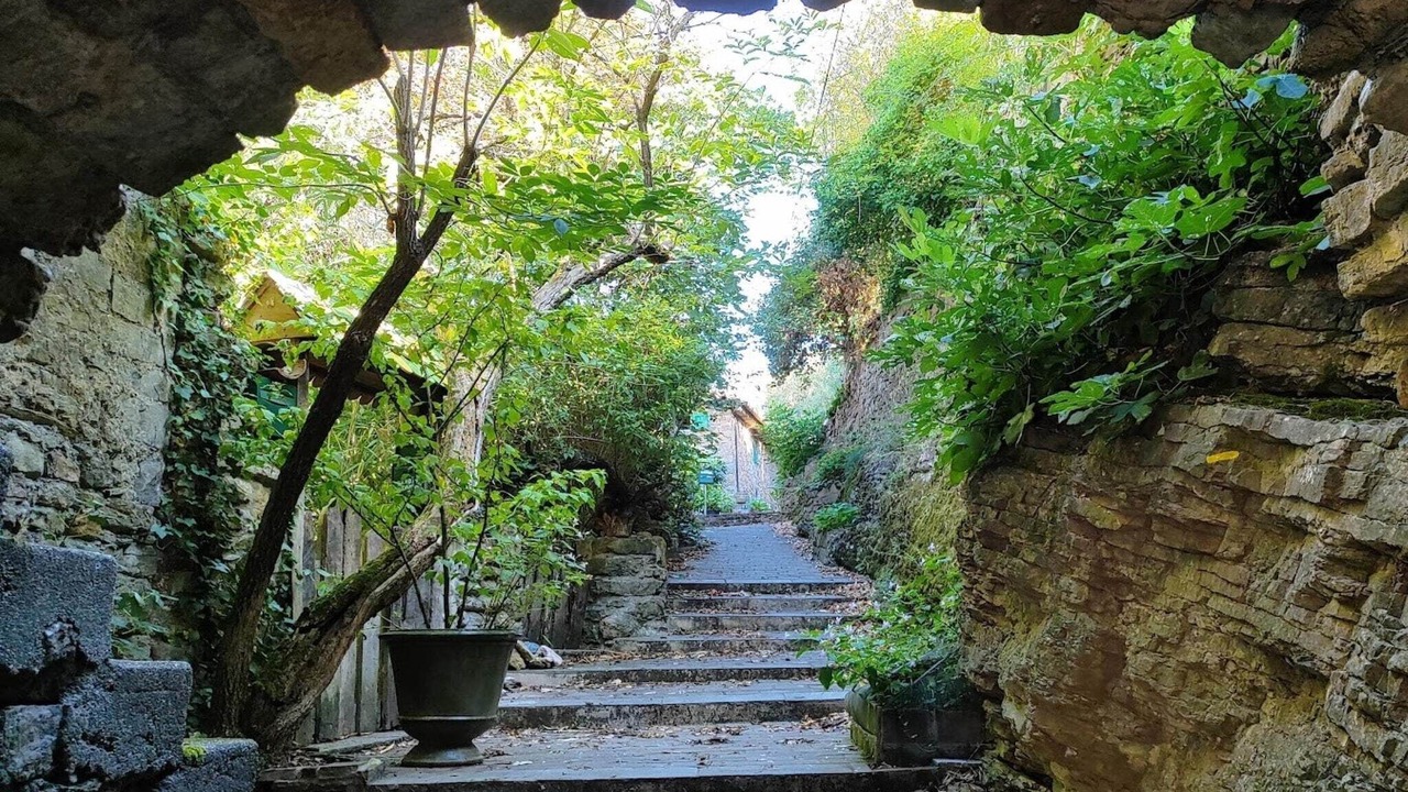 Photo of Others in Saint-Sebastien-d'Aigrefeuille
