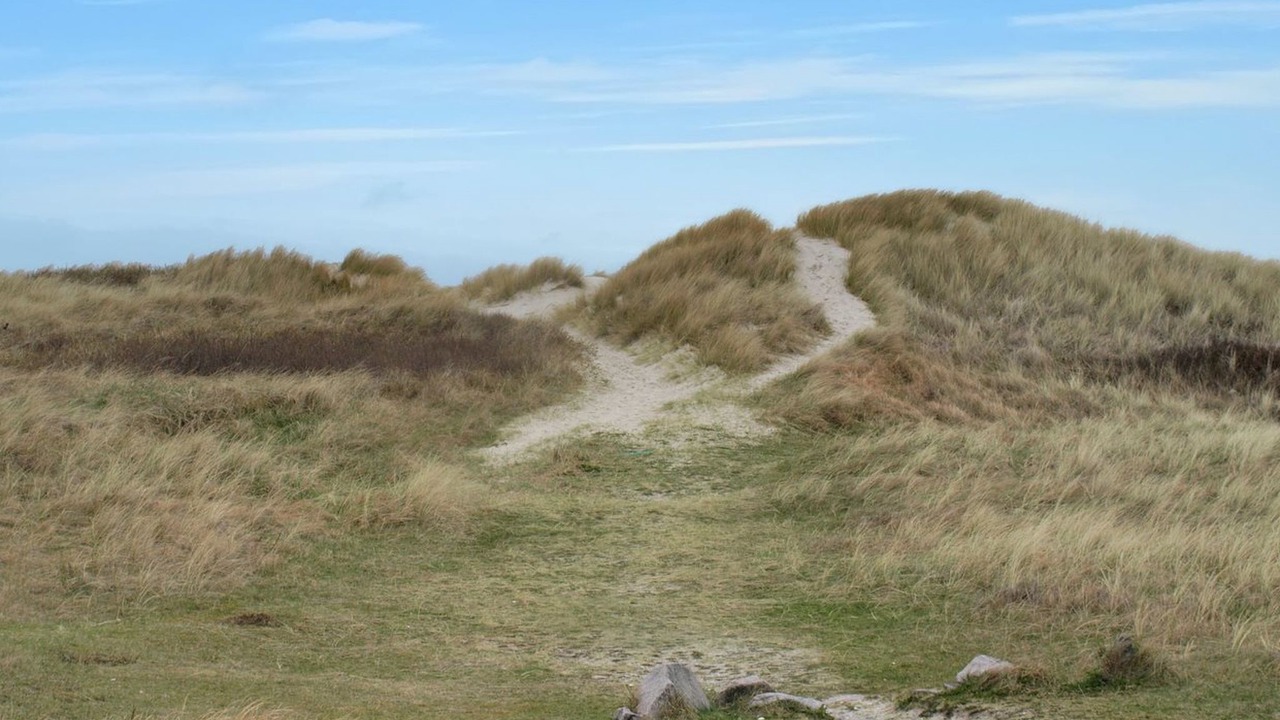 Photo of Others in Skagen
