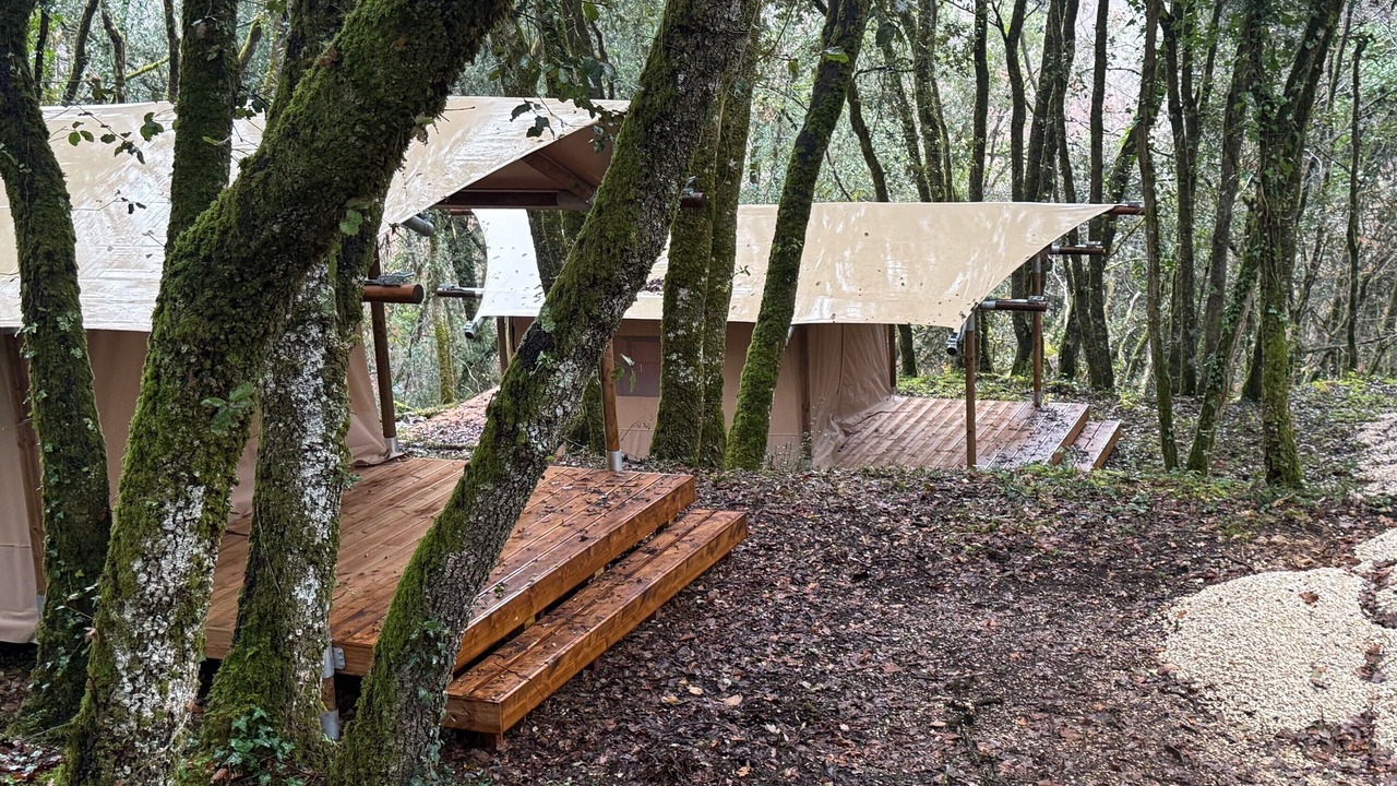 Photo of Outdoor in Calviac-en-Perigord