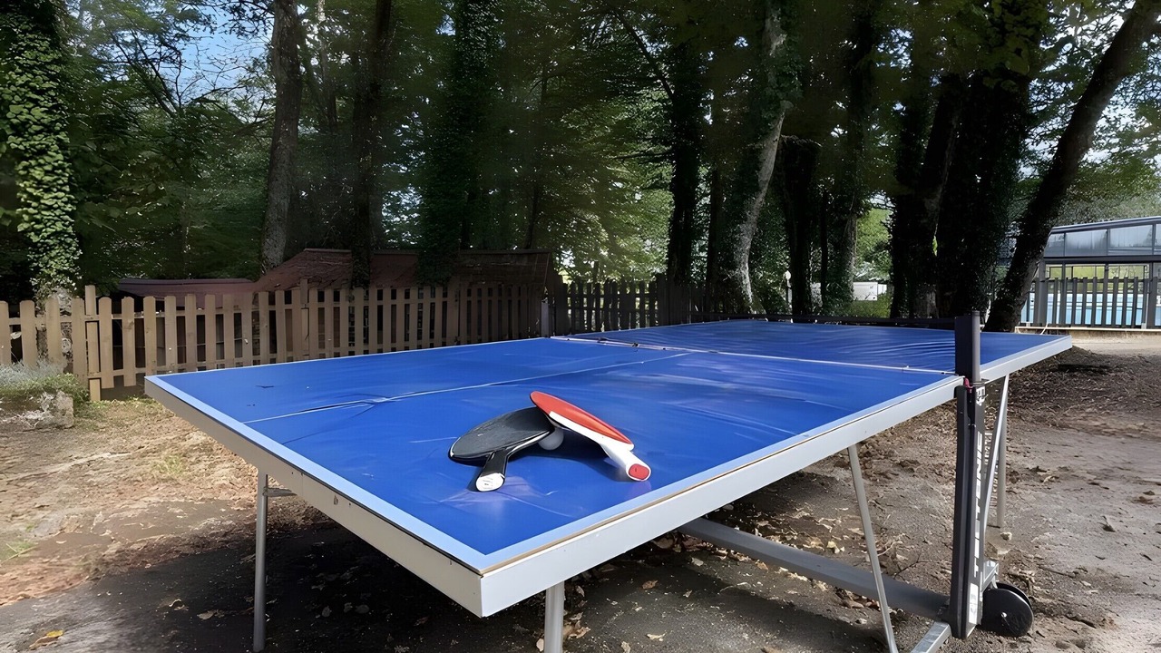 Photo of Outdoor in Calviac-en-Perigord