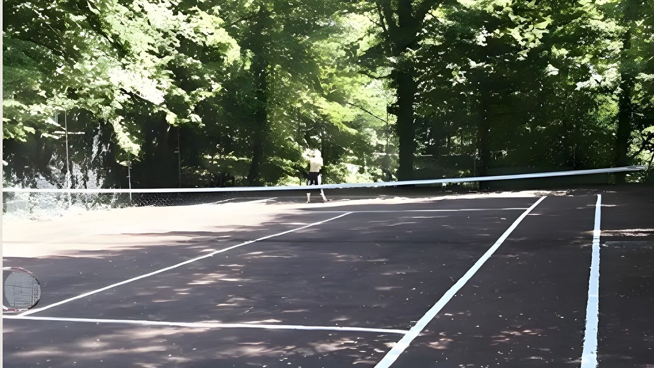 Photo of Others in Calviac-en-Perigord