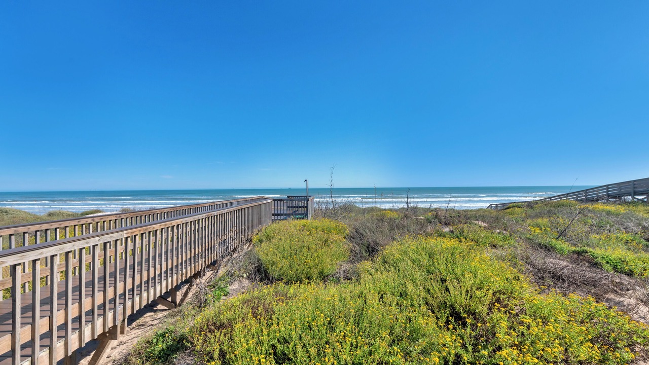 Photo of Others in Port Aransas